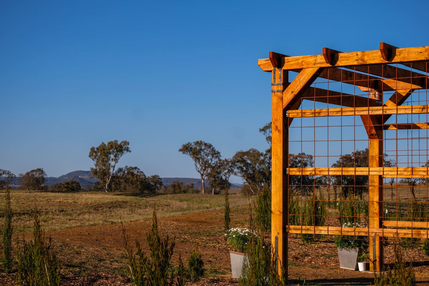 Wooden pergola structure in a field with trees and mountains in the background