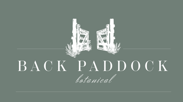 Click the BPB logo to go to the home page