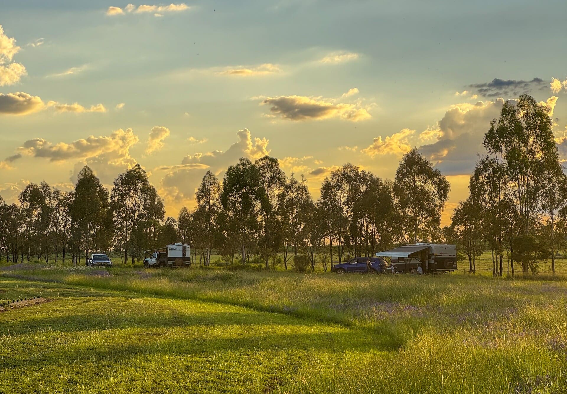 Caravans parked near the lavender fields