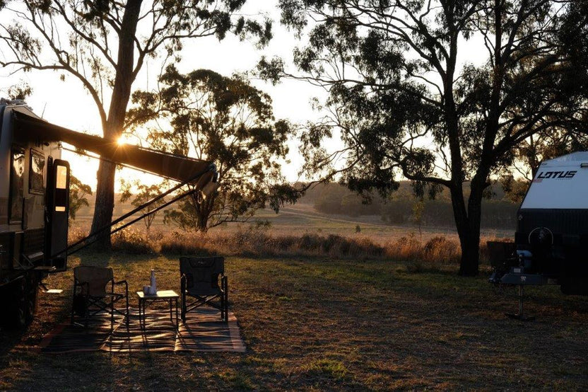 Back Paddock Botanical - Lavender and Herb Farm, Queensland