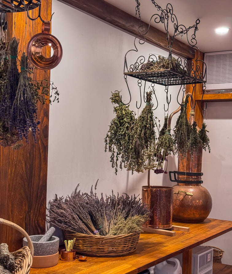 Dried flowers and herbs hanging in the BPB workshop