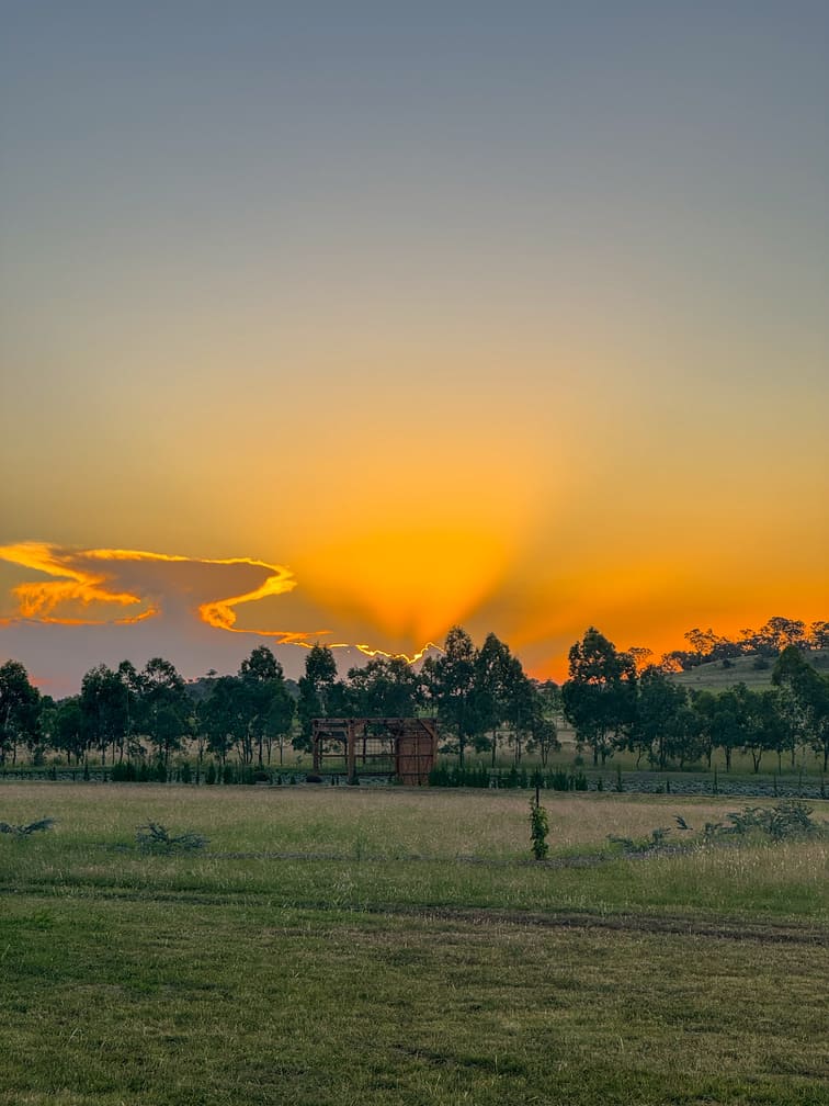 Sunset over a field with trees in the background, at Goombungee wedding venue Back Paddock Botanical