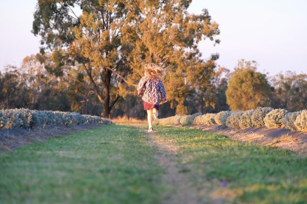 Child running in lavender field