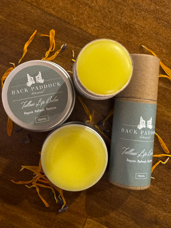 Tallow lip balm shown open in tin and tube form