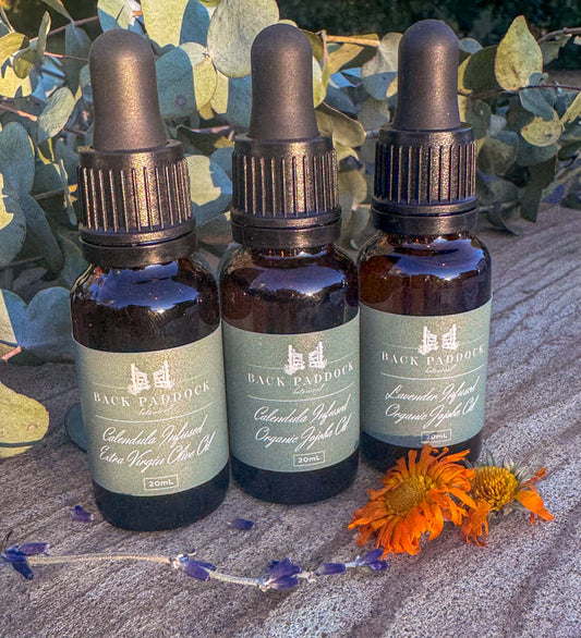 Calendula Infused EVOO - Oil Bottle