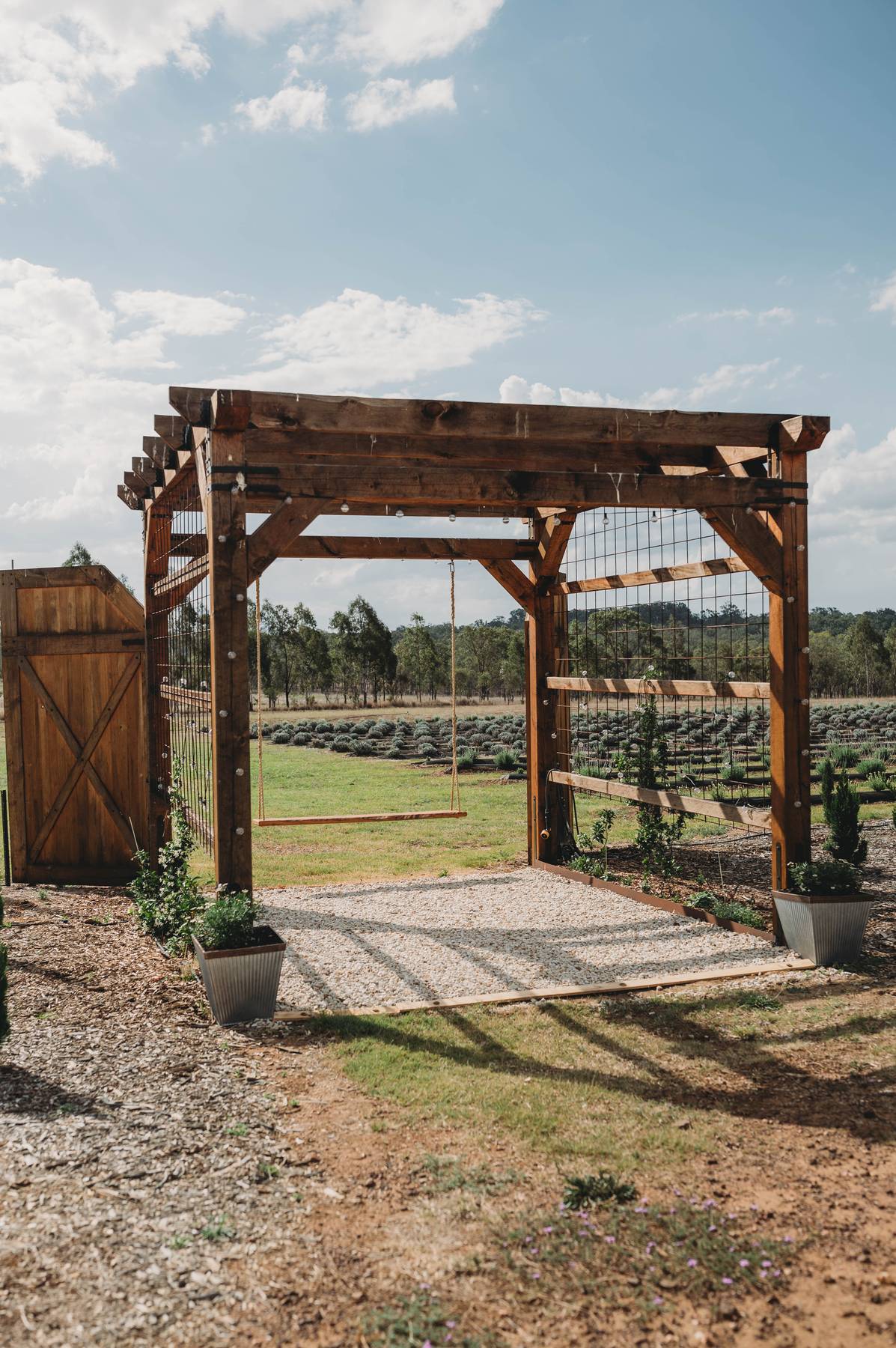Wooden pergola with plants on a gravel and grass path leading to the lavender field.