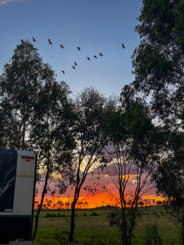 Sunset over the BPB fields with a parked caravan and birds flying