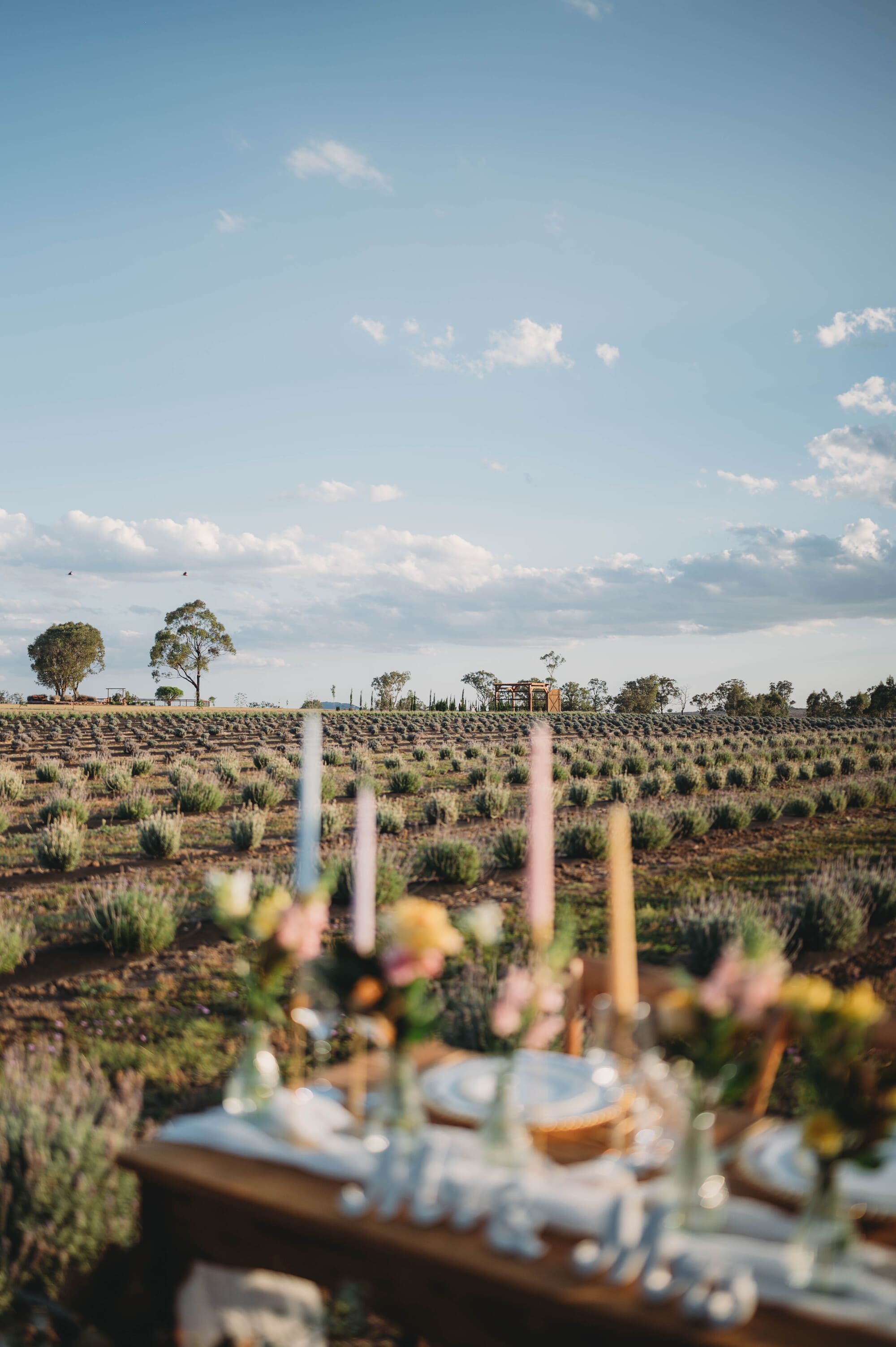 Table set for a meal with floral arrangements in an outdoor setting with lavender fields and a clear sky.