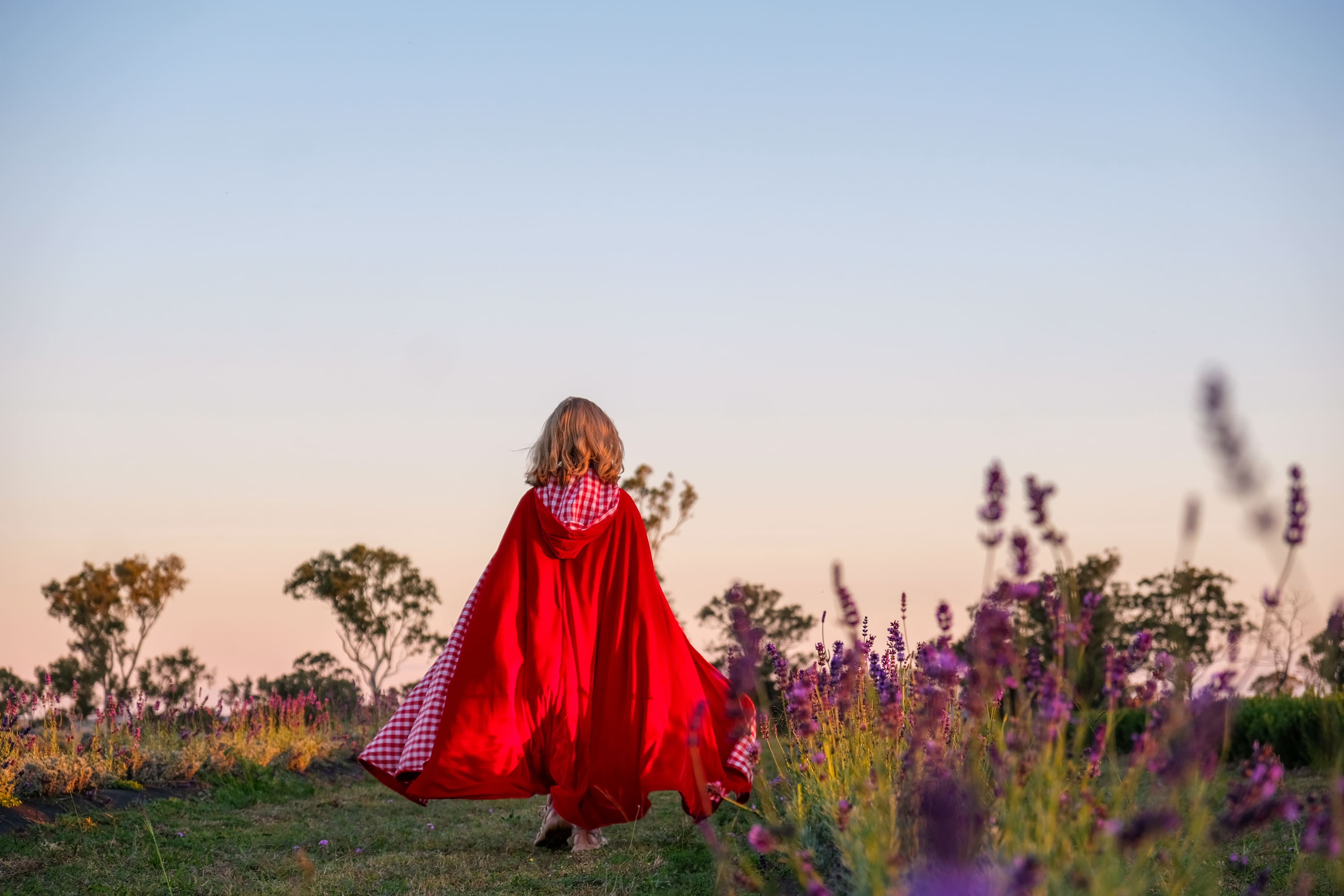 Girl in a red cape walks in a lavender field