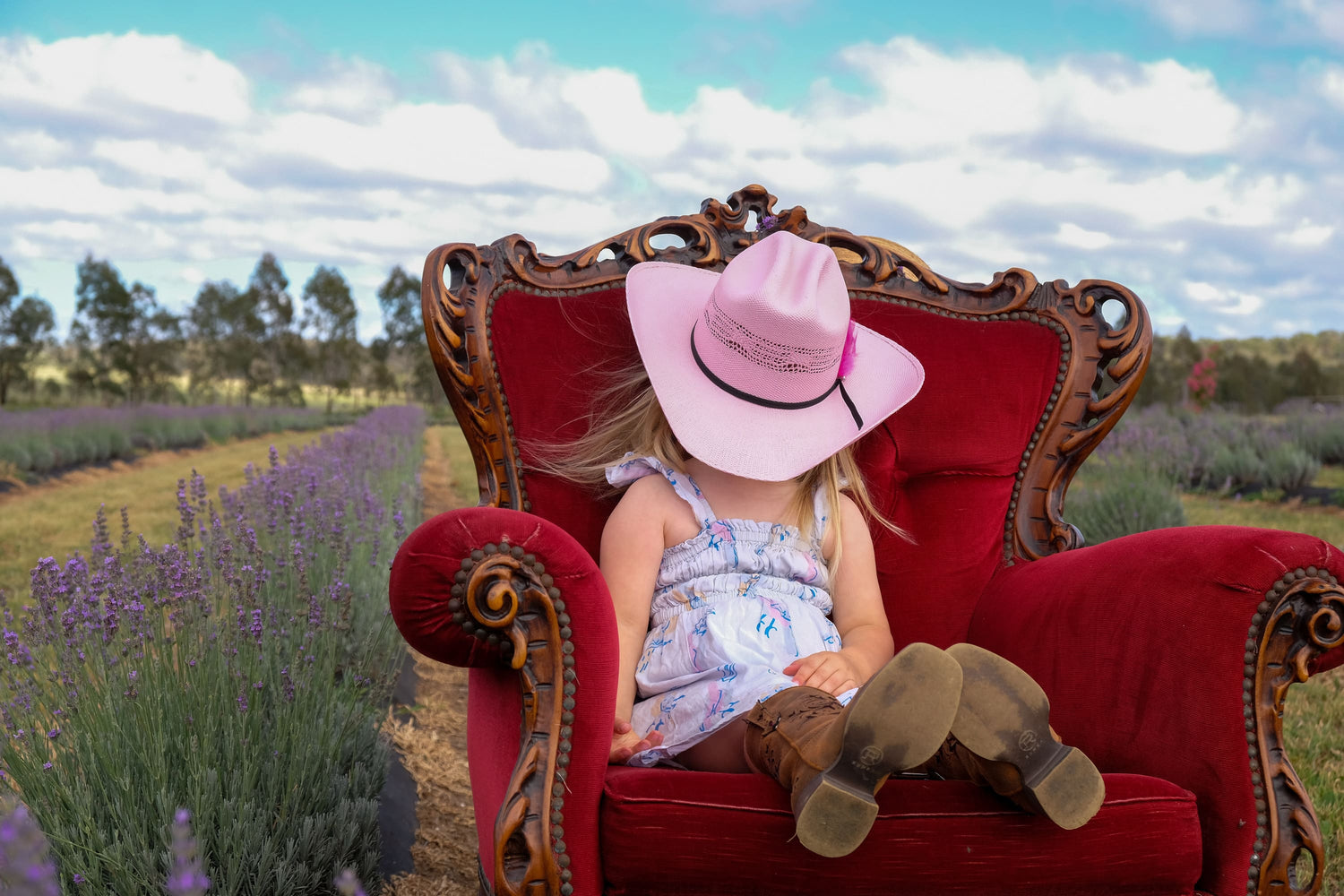 Child in a pink hat sitting on a red chair in a lavender field