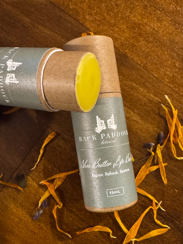 Shea butter lip balm shown open in tube form