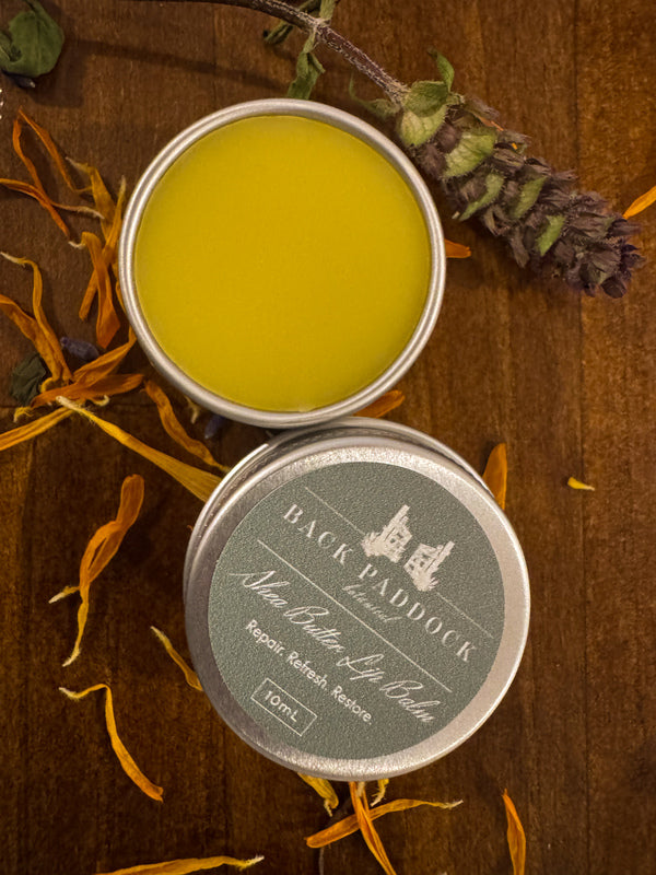 Shea butter lip balm shown open in tin form
