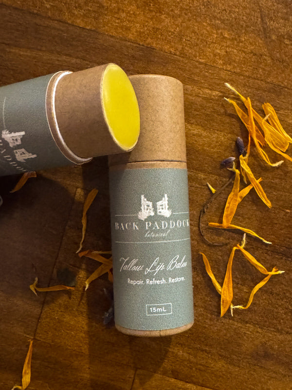 Tallow lip balm shown open in tube form